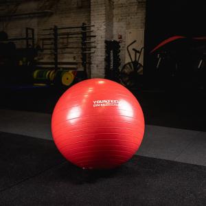 Купить Гимнастический мяч Yousteel Hard 55см в Якутске 