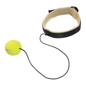 Купить Эспандер боевой мяч Fight Ball в Якутске 